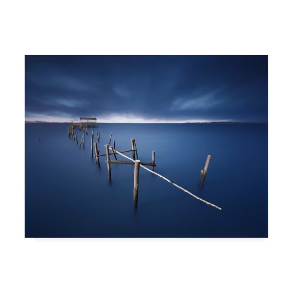Juan Pablo de 'Carrasqueira Azul' Canvas Art, 24x32, Trademark Fine Art, Mfr#: 1X09786-C2432GG